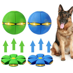 BADWALT disque-volant 2-en-1 lumineux pour chien, jeu interactif.
