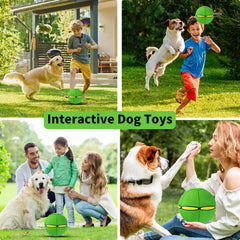 BADWALT soucoupe volante-chien vert-bleu, stimulant l'activité et l'interaction