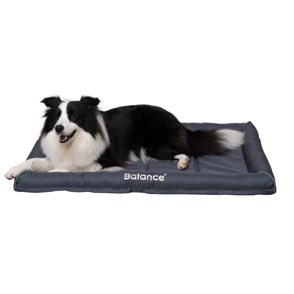 BALANCE Oxford lit chien grand-format imperméable, repos confortable