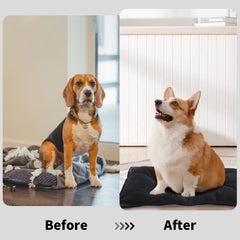 BALAPET matelas-chien durable pour cage, favorise le repos et le calme.
