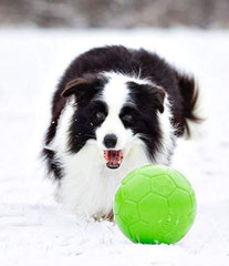 Ballon Jolly Pets Soccer grande taille en action pour chien actif