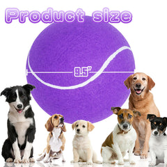 Banfeng balle tennis chien violet 9-5 pouces prête pour les jeux extérieurs.