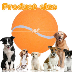 Banfeng Balle tennis chien orange brillante pour stimulation et activité