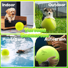 Banfeng Balle Tennis Chien Non toxique sécurité lors des jeux