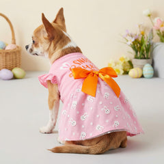 Robe BAOBICUTE paques chien noeud orange pour charme instantané
