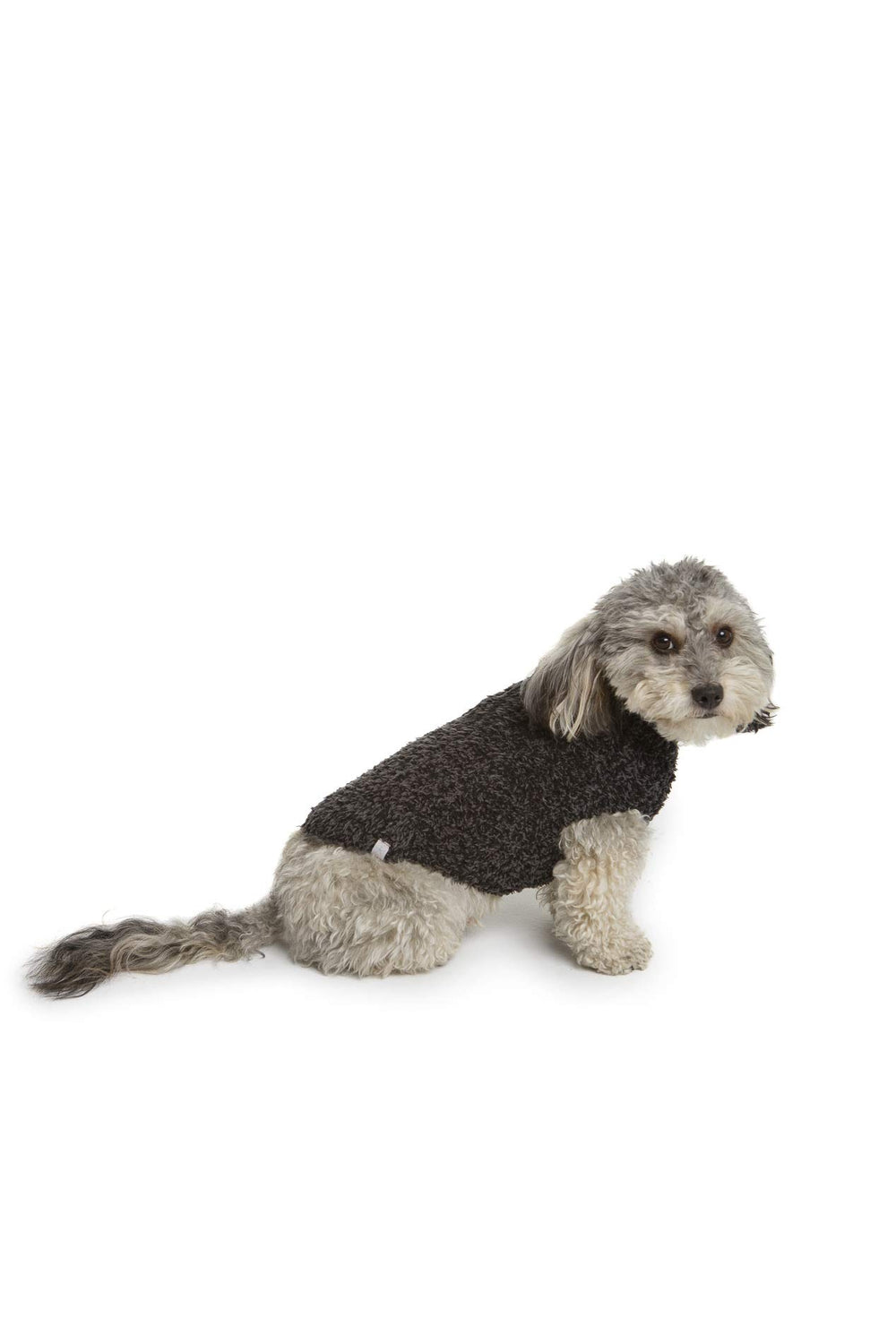 Barefoot Dreams CozyChic pull chien à côtes pour sorties fraîches.