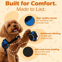 Harnais Bark Appeal, 3 attaches, bleu XXL, polyvalent pour marche, jogging et entraînement.