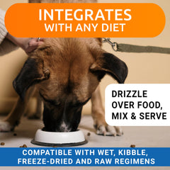 BARK&SPARK mobilite articulations chien, outil de soutien quotidien.