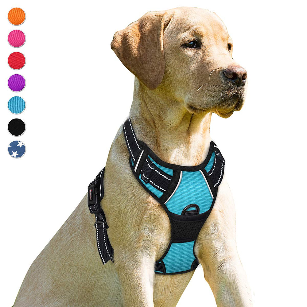 Harnais Barkbay anti-traction clip frontal bleu XL, contrôle précis lors des promenades.