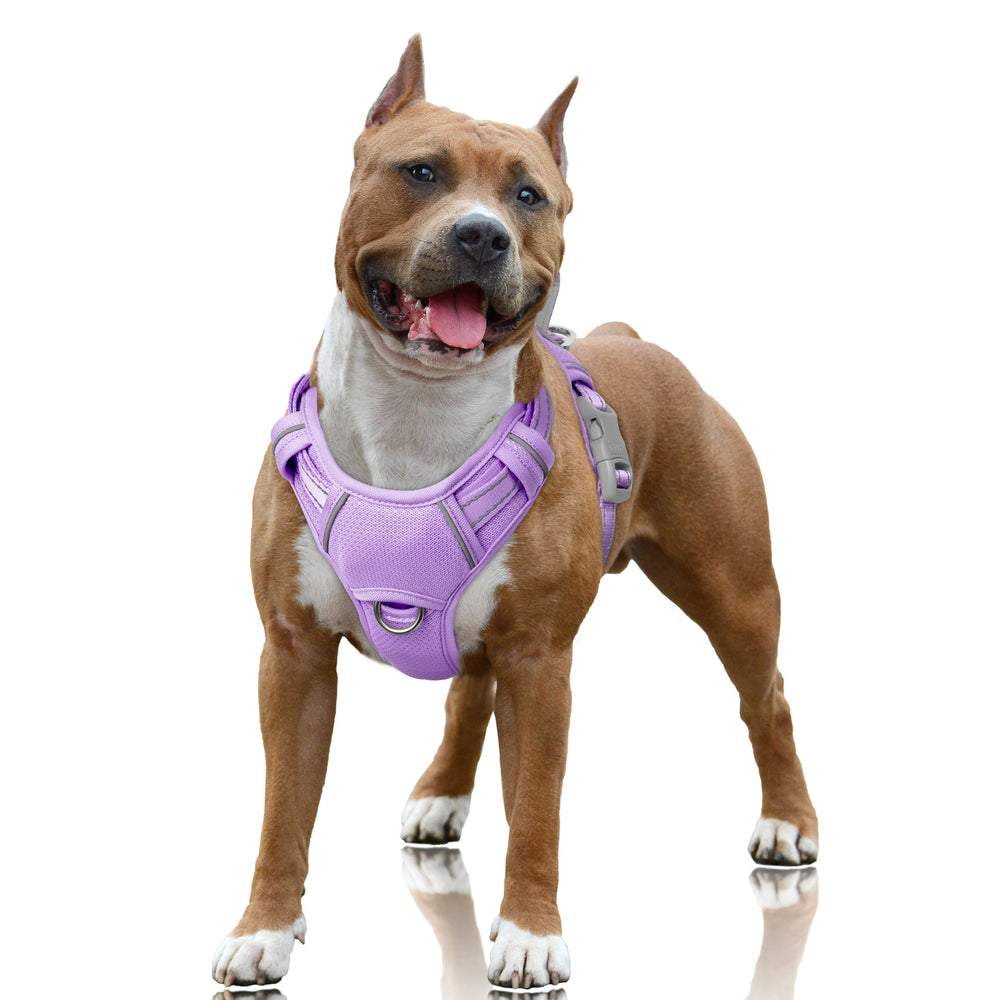 Harnais BarkBay clip-avant pour un contrôle facilité lors des promenades.