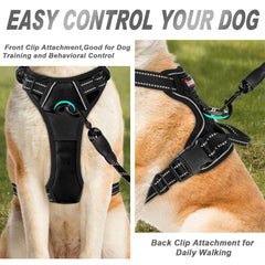 Harnais Barkbay – nylon sans déchirure: durabilité et confort.