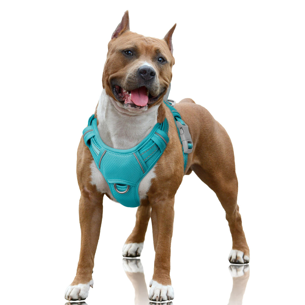 Harnais BarkBay pas-tir-avant pour chien, confort et contrôle pendant les promenades.