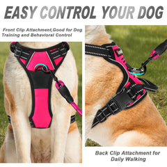 BARKBAY harnais avec poignée supérieure pour contrôle renforcé lors des promenades.