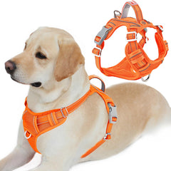 Harnais BarkBay confort-respirant pour promenades quotidiennes.