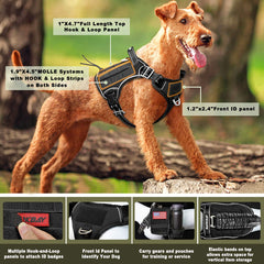 Panneau d identification sur harnais BARKBAY pour chien.