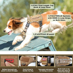 Barkbay système MOLLE, porte-accessoires pratique pendant les sorties.