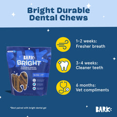 BARKBOX Bright: chien en train de mastiquer, démontrant la durabilité.