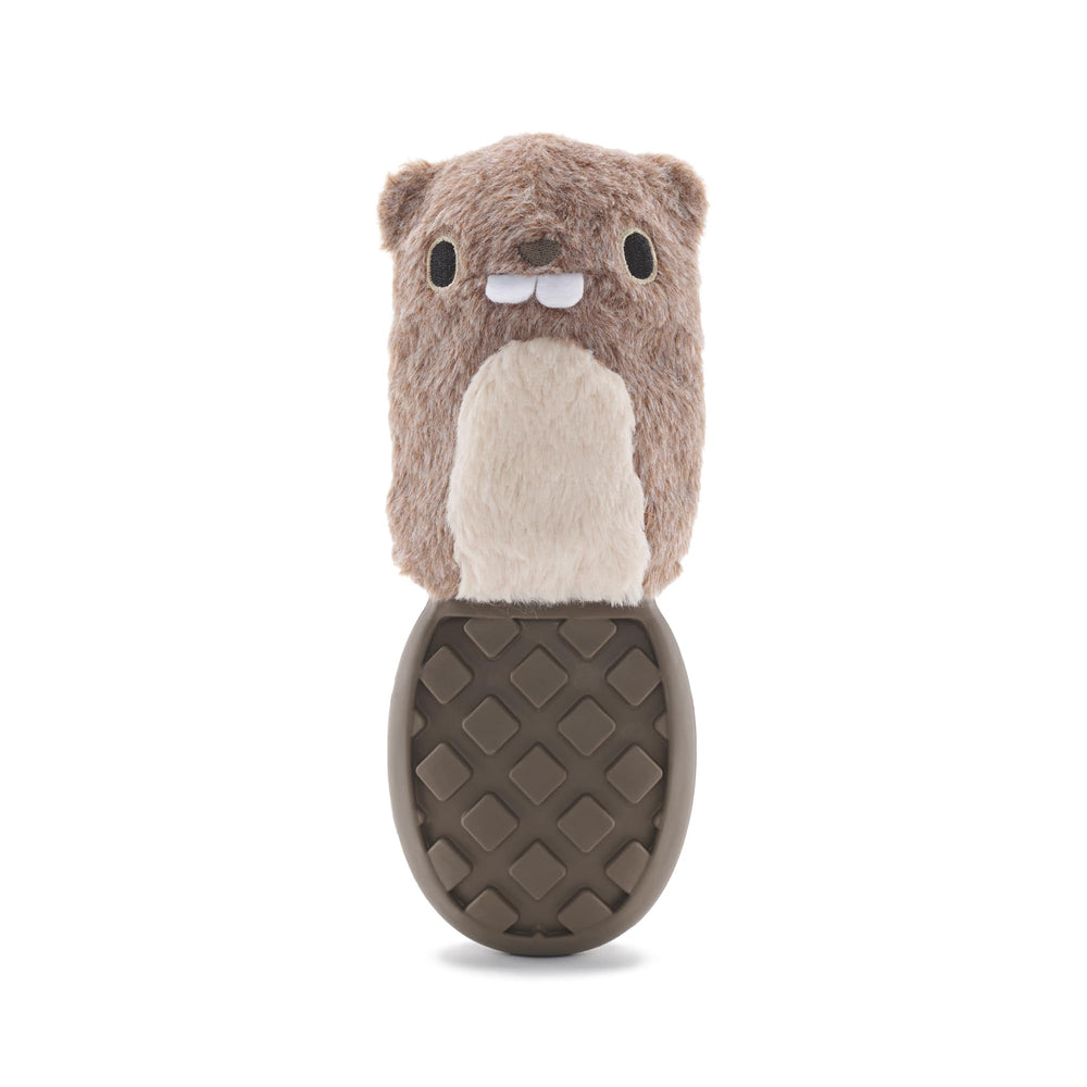 Barkbox Buck Wild cache intérieur, jouet robuste pour divertir longtemps