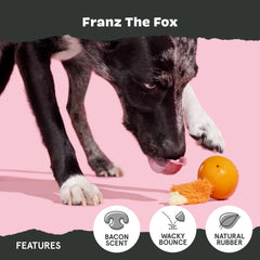 BarkBox Franz le Renard: queue dynamique qui anime le jeu.