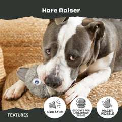 BarkBox Hare Raiser, déchirure et révélation d’un nouveau jouet intérieur