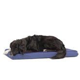 Lit orthopédique Barkbox avec mousse à mémoire offrant un soutien ciblé pour chiens et chiots.