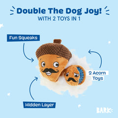 Barkbox Monsieur Acorn, balle épineuse qui crisse, stimulation auditive pour chien.