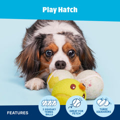 Barkbox Play Hatch: trois balles en action pour plus de lancers et de plaisir.