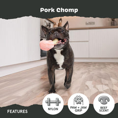 Odeur bacon du Pork Chomp attire le chien vers le jouet.