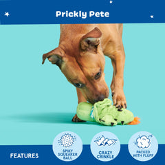 BarkBox Prickly Pete textures crinkle intérieur, offre une expérience sensorielle variée.
