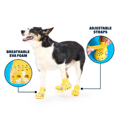 BarkBox sangle reglable pour un ajustement sûr lors des promenades.