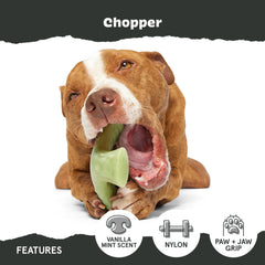 BarkBox Super Chewer – conception sans corde ni bourrage, nettoyage facilité.