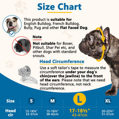 BARKLESS museau-desensibilisation: aide progressive pour que votre chien accepte le museau.