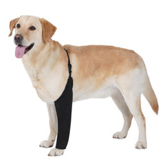 BARKLESS veste-recup patte avant gauche protège la plaie après chirurgie.