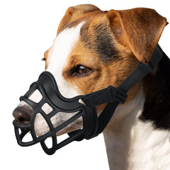 BARKLESS Museliere Panier ensemble: protection et confort lors des sorties.