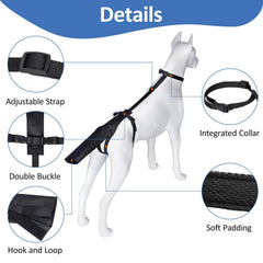 BARKLESS tissu oxford respirant, confort et ventilation.