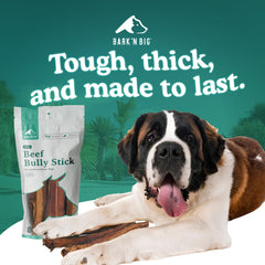 BARK'N BIG bâton boeuf 6 pouces standard, option pratique pour petites sessions.