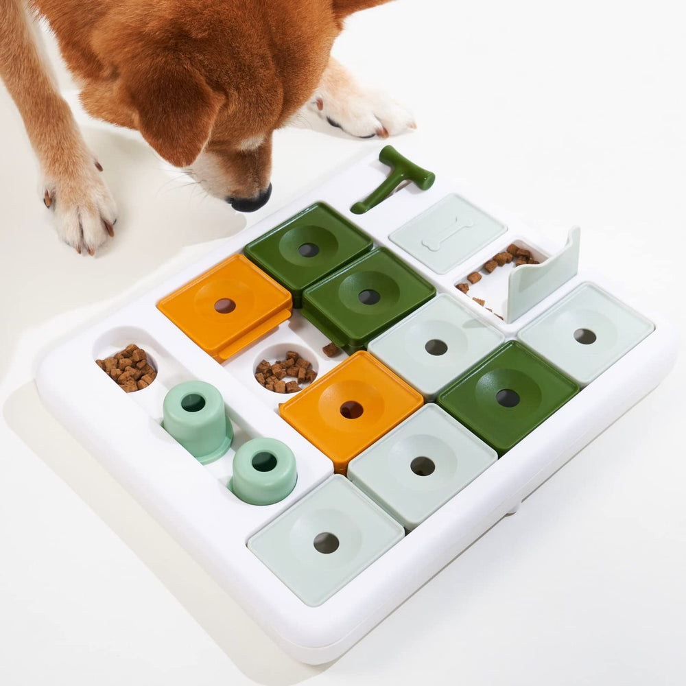 Jouet puzzle Barkwhiz pour chien, niveaux 1 à 3, stimulation mentale.