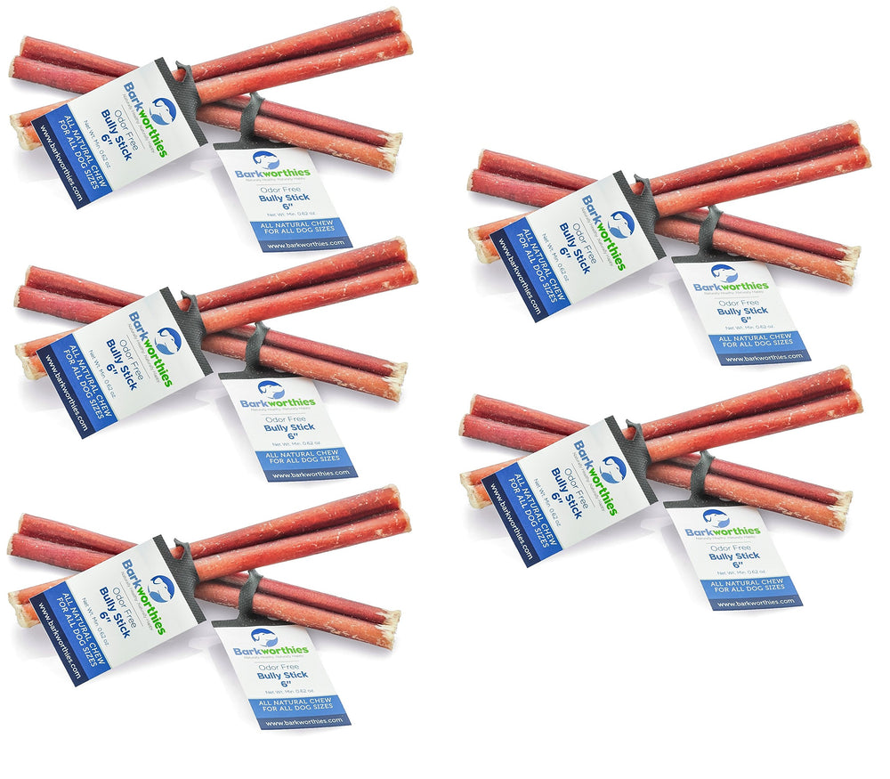 Barkworthies Bully Stick sans odeur de 6 pouces, pack de 10, récompense durable et facile à partager.