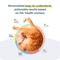 Basepaws colis-retour-prepayee-chat: retour facile avec étiquette prépayée.
