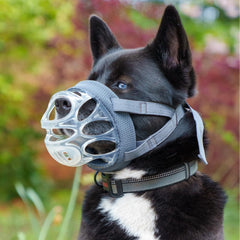 Baskerville INVISA masque chien rembourrage 360 pour un confort durable.