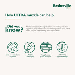 Baskerville Ultra Muzzle, rembourrage confortable pour un port prolongé et agréable.