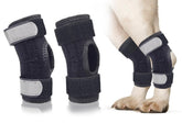 Bawektrl attelle tarse arrière sur chien pour soutenir la patte lors de la marche.