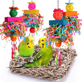 BBjinronjy hamac en seagrass naturel, espace de repos et de jeu pour oiseaux.