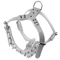 Ensemble harnais et collier Bbmmayy blanc, idéal pour promenades quotidiennes.