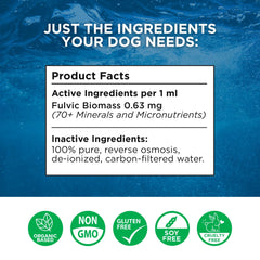 BEAM MINERALS Électrolytes Canins bouteille 12 oz pour chiens actifs