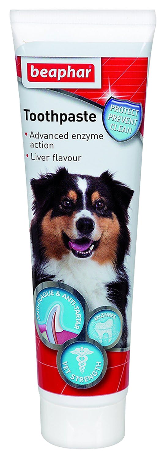 Beaphar dentifrice chien et chat saveur viande pour haleine fraîche et réduction de plaque
