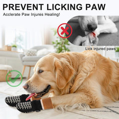 Les sangles reglables Beautyzoo assurent un ajustement sûr pour chien.