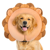 BEAUTYZOO collier donut gonflable en action sur un chien XL, confort et sécurité.