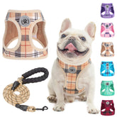 Harnais petit chien plaid beige – ensemble confortable pour les promenades.