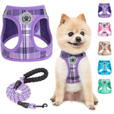 Harnais BEAUTYZOO petit chien plaid violet, mise en place rapide.